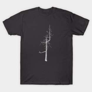 Bandon Ghost Tree T-Shirt